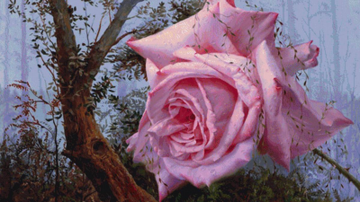 Нежная роза - розовая роза, лес, цветы - предпросмотр