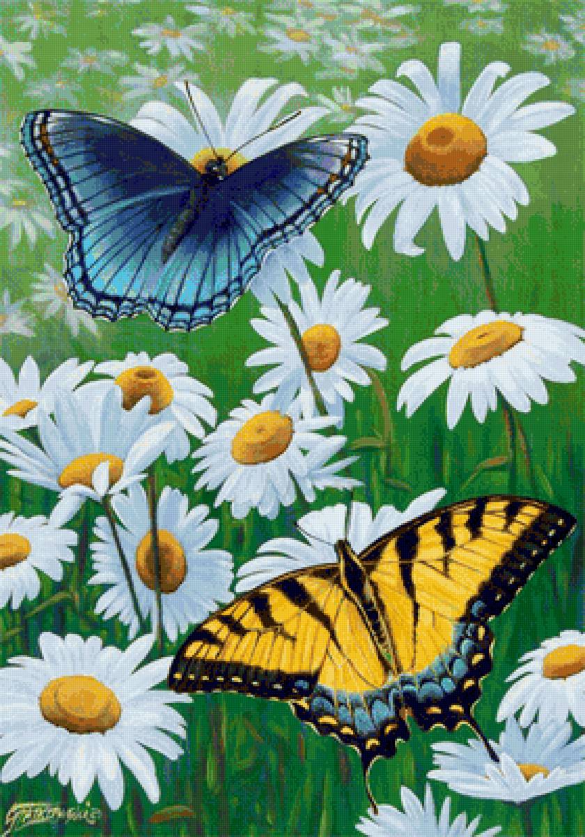 цветы и бабочки - цветы - предпросмотр