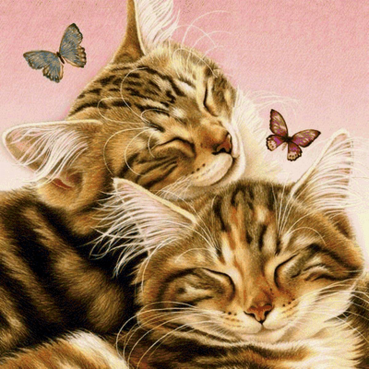 кошки - предпросмотр