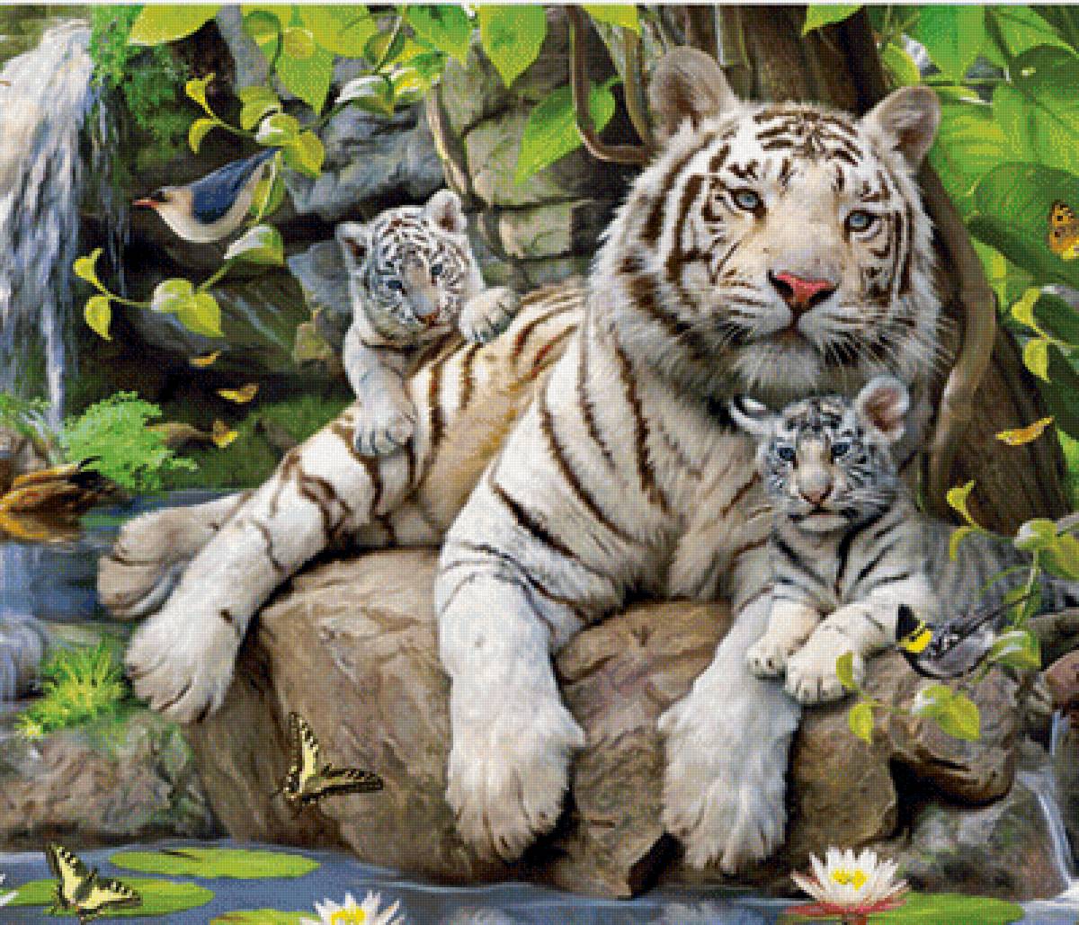 Семейство - семья, пара, природа, тигр, животное - предпросмотр