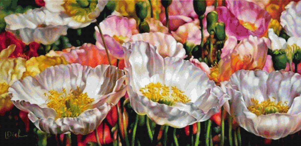 Тюльпаны - природа, цветы - предпросмотр