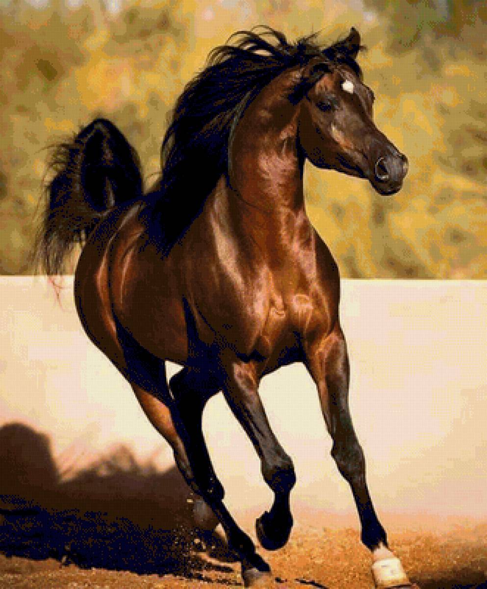 №1662264 - предпросмотр