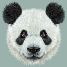 Схема вышивки «панда»