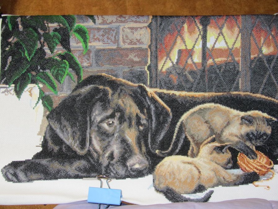 песик и котики - оригинал