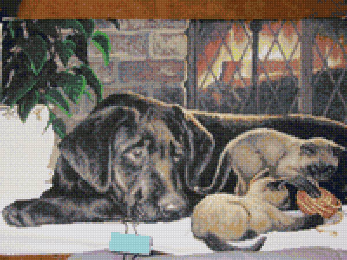 песик и котики - предпросмотр