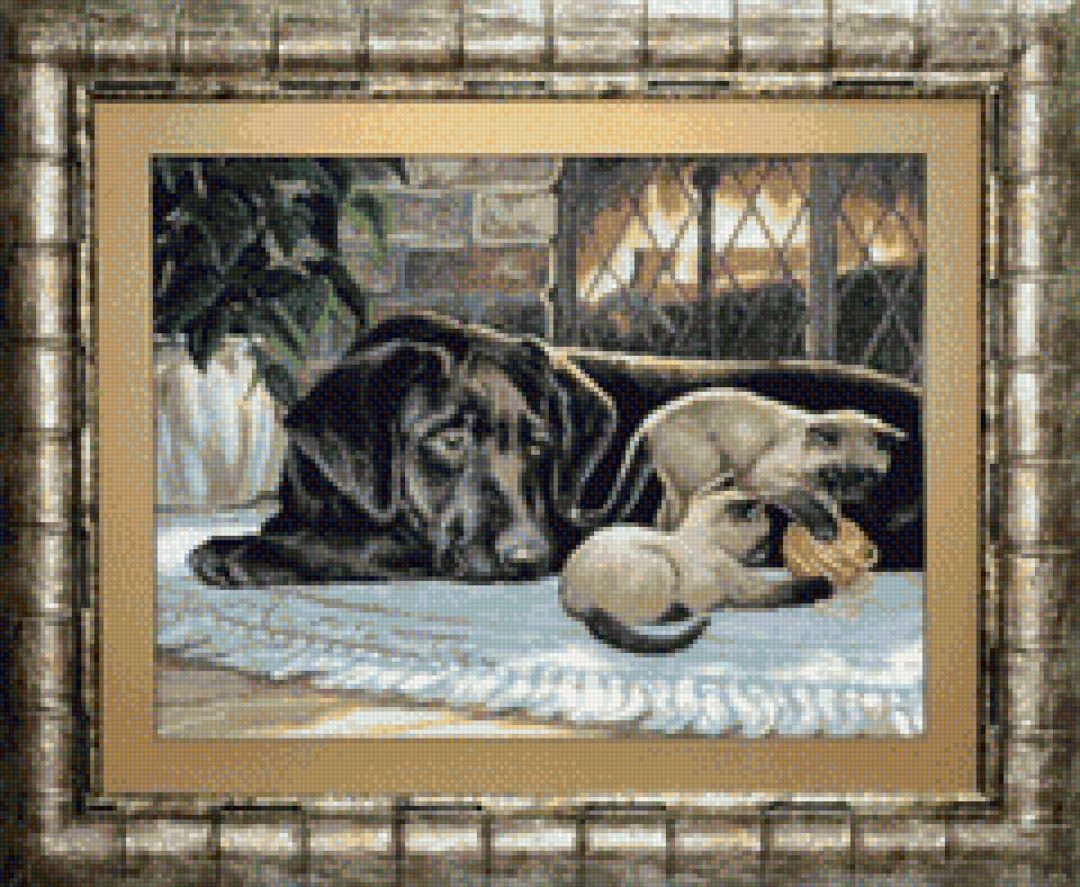 животные - предпросмотр