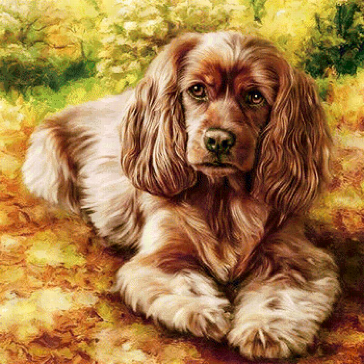 198 - предпросмотр