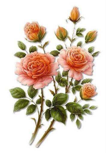 №1662827 - оригинал