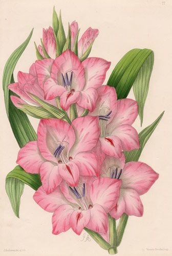 №1662828 - оригинал