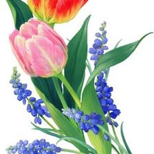 Схема вышивки «№1662830»