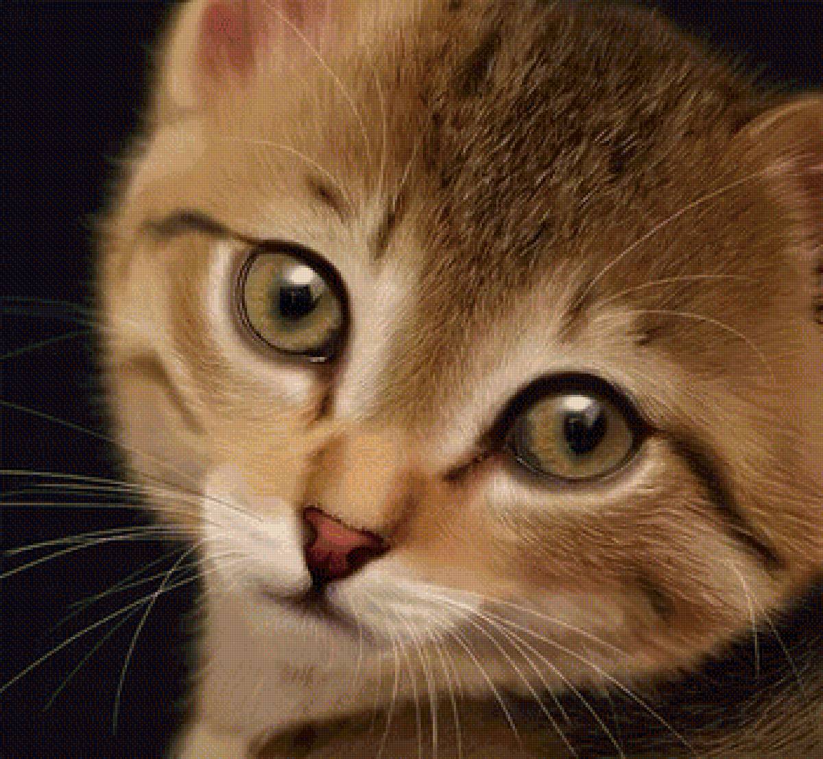 Котёнок - предпросмотр