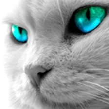 Схема вышивки «Кошачьи глаза»