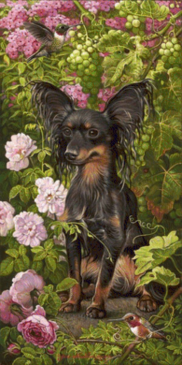 kvety,psík - предпросмотр