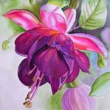 Схема вышивки «№1663338»