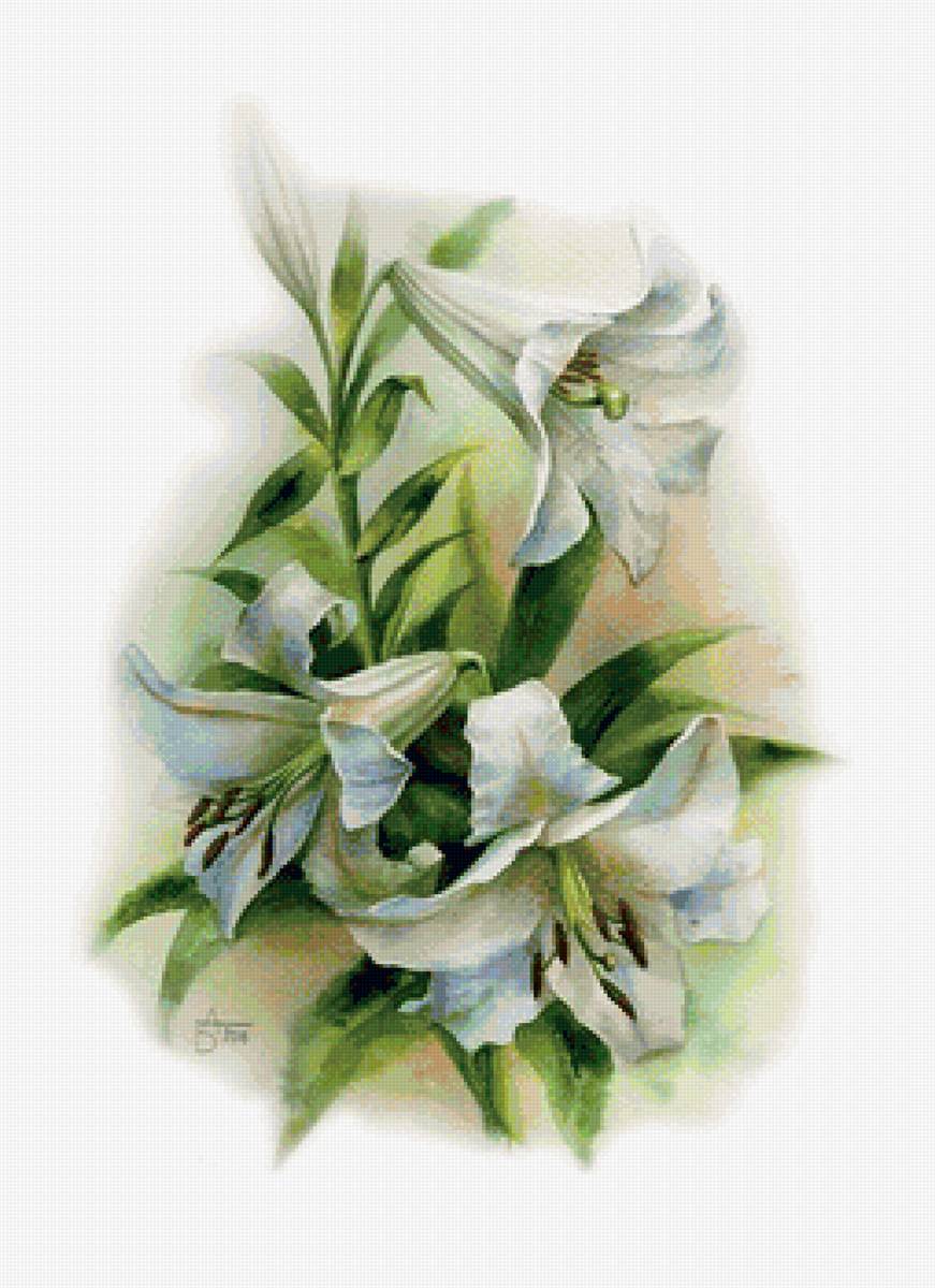 №1663341 - предпросмотр