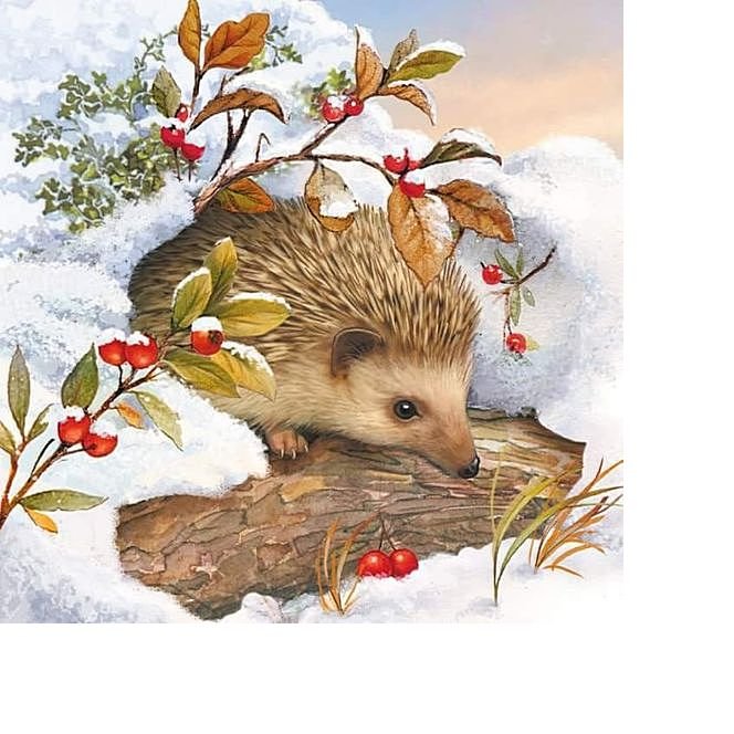 №1663392 - оригинал