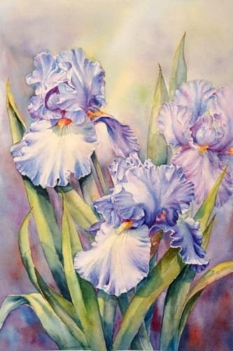 №1663647 - оригинал