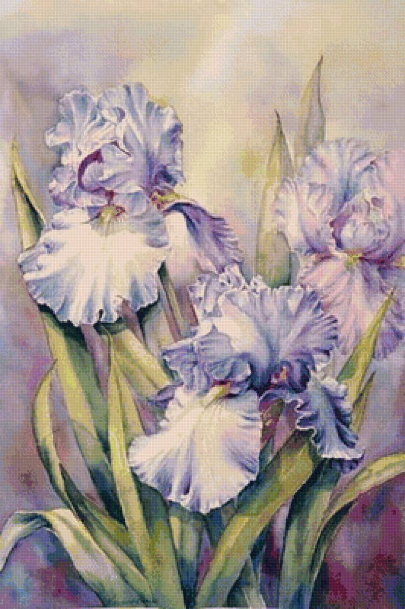 №1663647 - предпросмотр