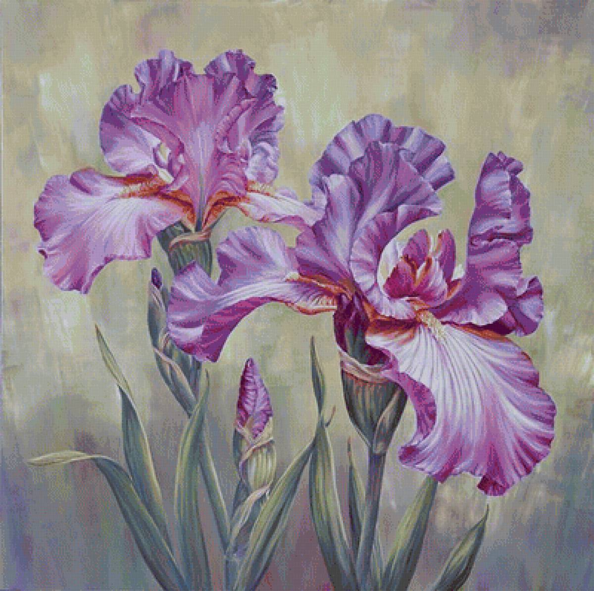 №1663649 - предпросмотр