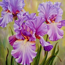 Схема вышивки «№1663651»