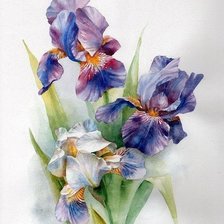 Схема вышивки «№1663660»