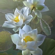 Схема вышивки «№1663784»