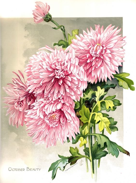 №1663789 - оригинал