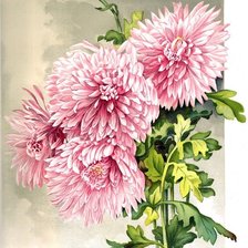 Схема вышивки «№1663789»