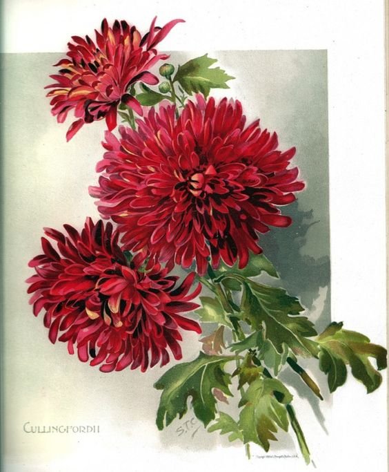 №1663790 - оригинал