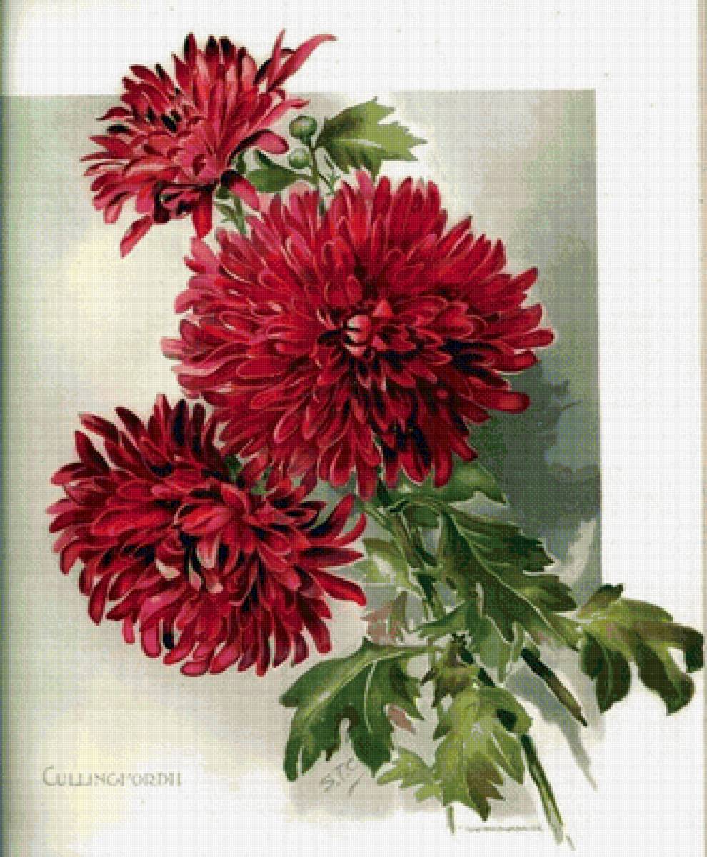 №1663790 - предпросмотр