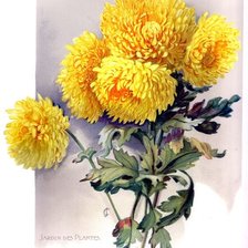 Схема вышивки «№1663791»