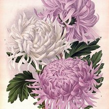 Схема вышивки «№1663792»