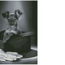 Схема вышивки «щенок»