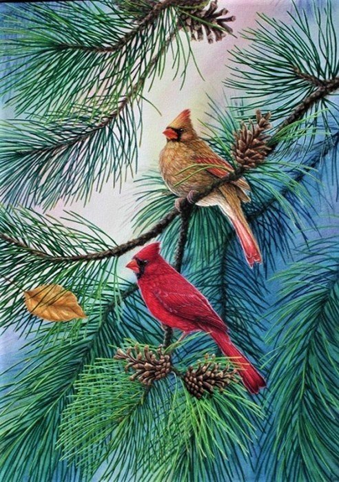 птицы - птицы, природа - оригинал