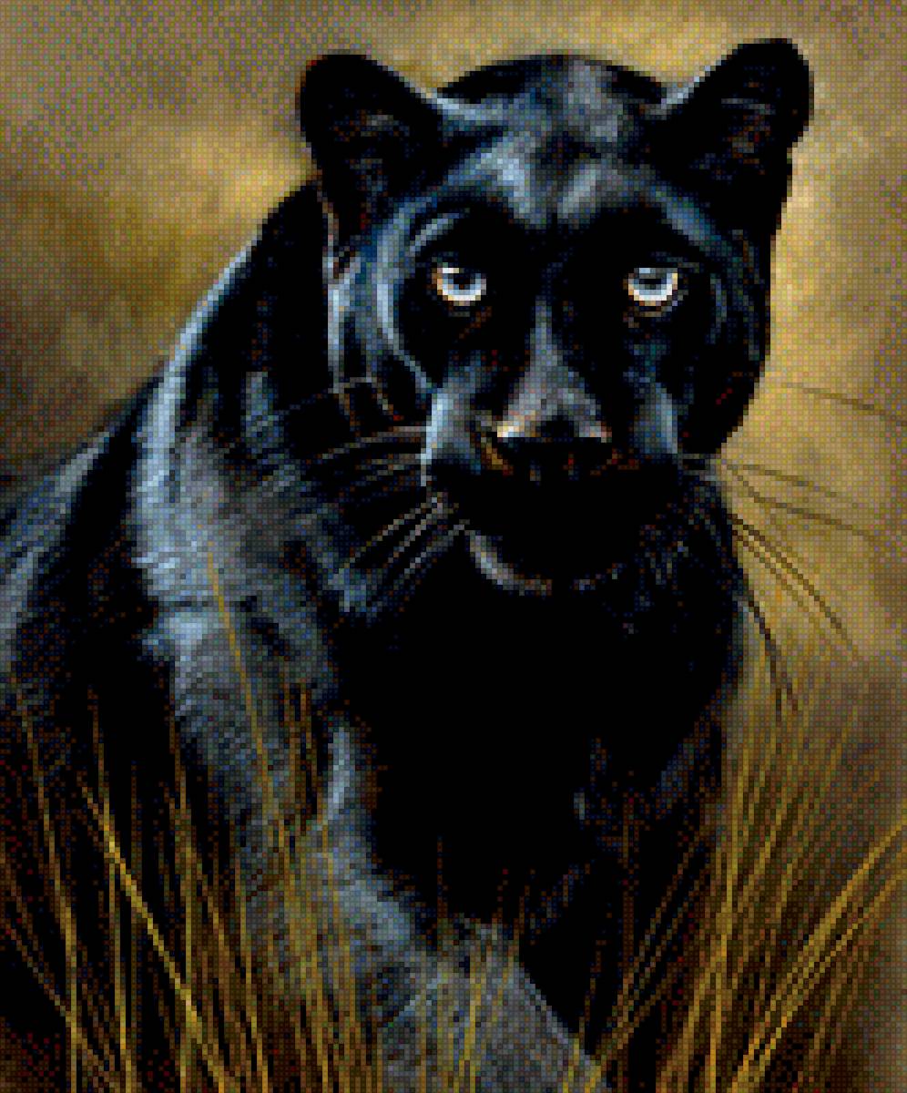Черная пантера - большая кошка - предпросмотр