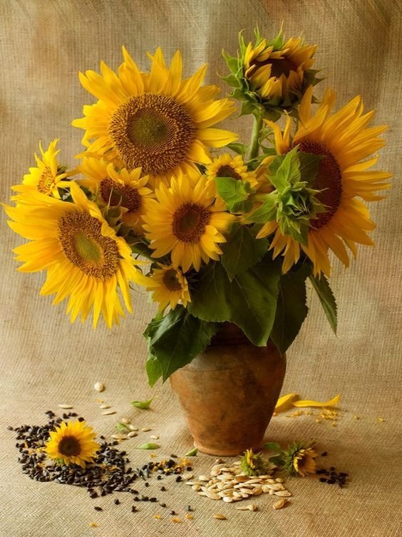 подсолнухи - оригинал