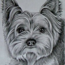 Схема вышивки «№1664657»