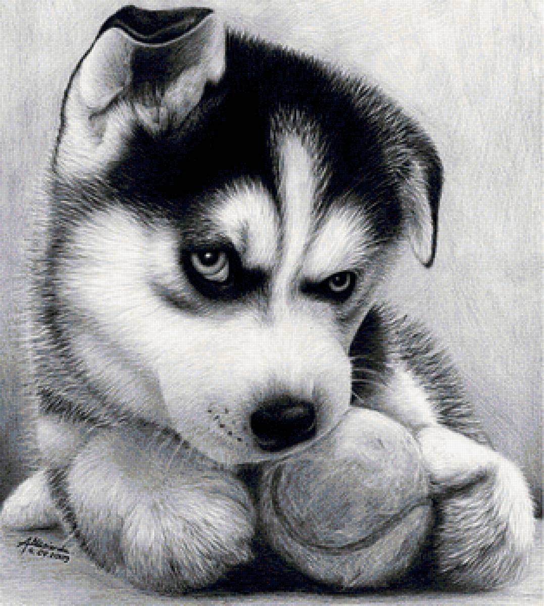 №1664667 - предпросмотр