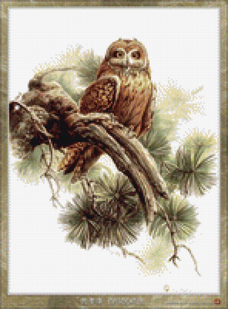 филин2 - птицы - предпросмотр