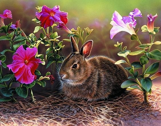 №1665018 - оригинал