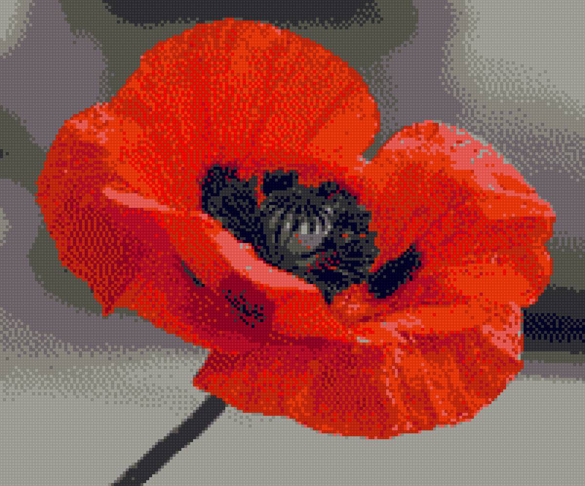 мак - предпросмотр