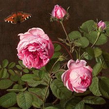 Схема вышивки «Роза с бабочкой»