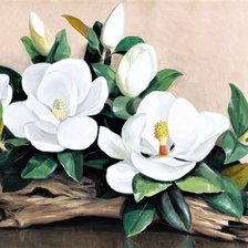 Оригинал схемы вышивки «белые цветы» (№1666095)