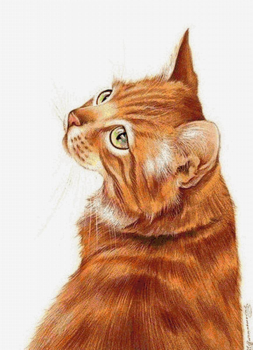 №1666233 - предпросмотр