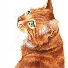 Схема вышивки «№1666233»