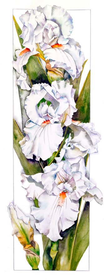 №1666317 - оригинал