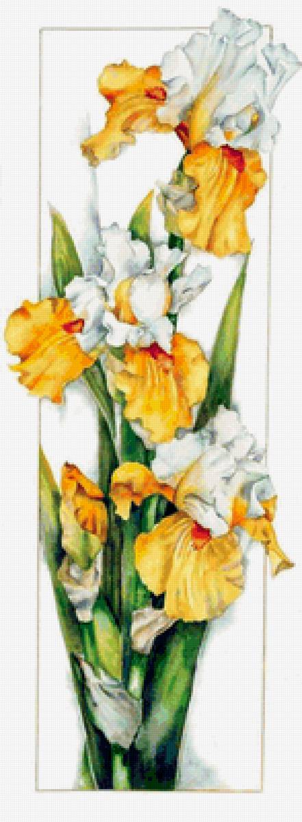 №1666320 - предпросмотр