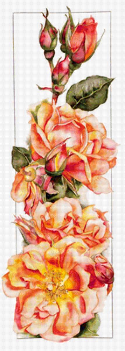 №1666323 - предпросмотр