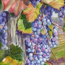 Схема вышивки «№1666456»