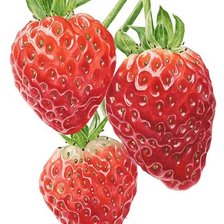 Схема вышивки «№1666464»